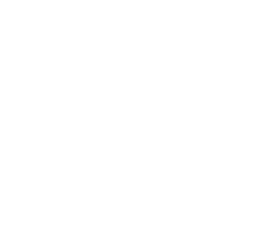 birm-logo-white
